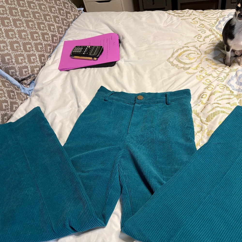 Cyan Anthropologie Wide Leg Corduroys Size S